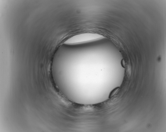 X0000092040668200709121006