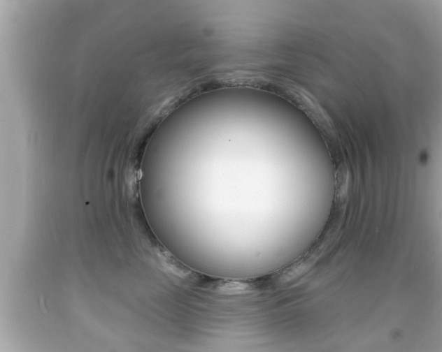 X0000092040669200709121006
