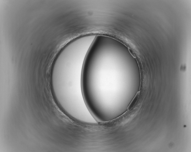 X0000092040673200709121006