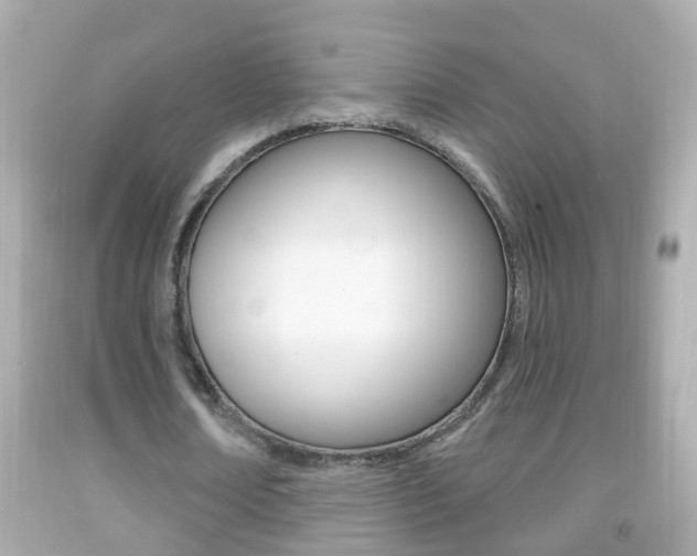 X0000092040674200709121006
