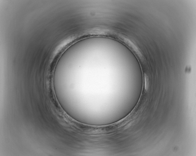 X0000092040675200709121006