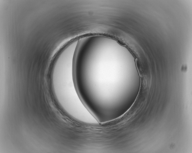 X0000092040676200709121006