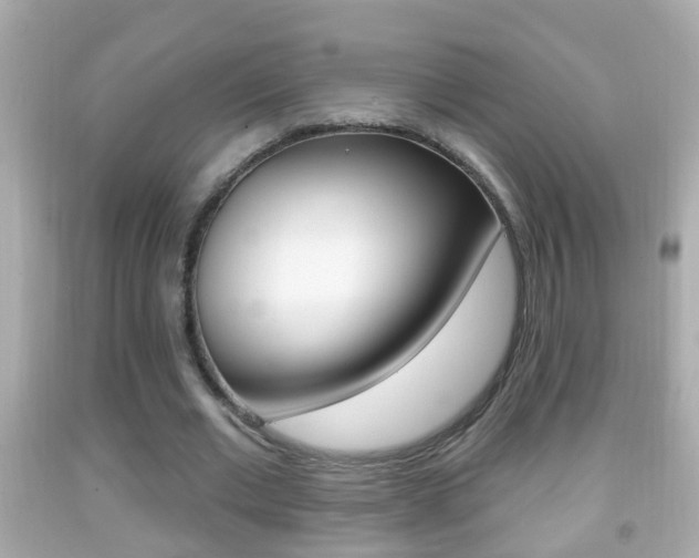 X0000092040677200709121006