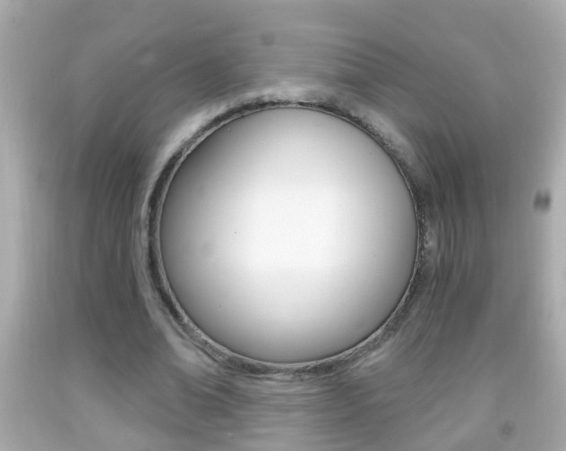 X0000092040678200709121006