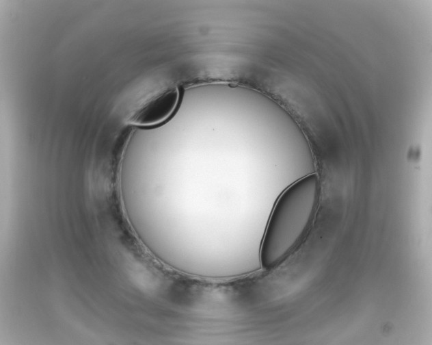 X0000092040683200709121005