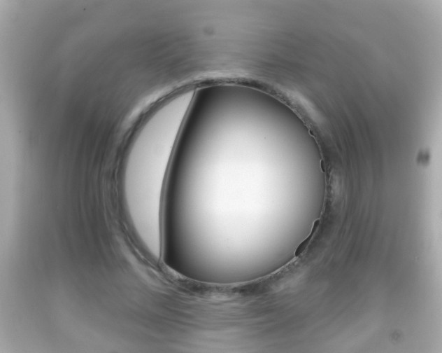 X0000092040684200709121005