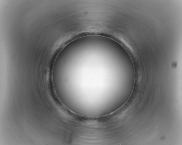 X0000092040685200709121005