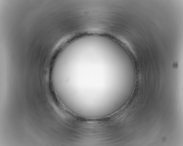 X0000092040686200709121005