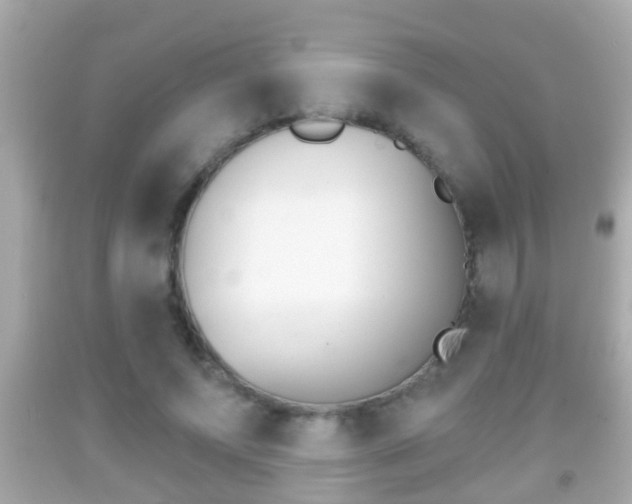 X0000092040687200709121005