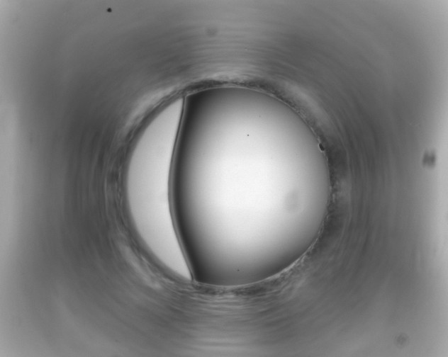 X0000092040688200709121005