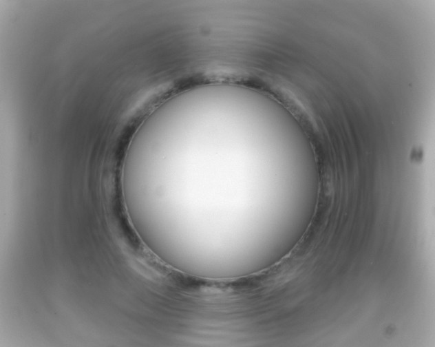 X0000092040690200709121005