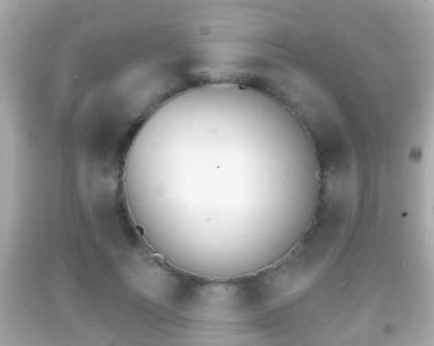 X0000092040691200709121005