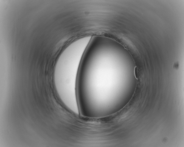 X0000092040693200709121005