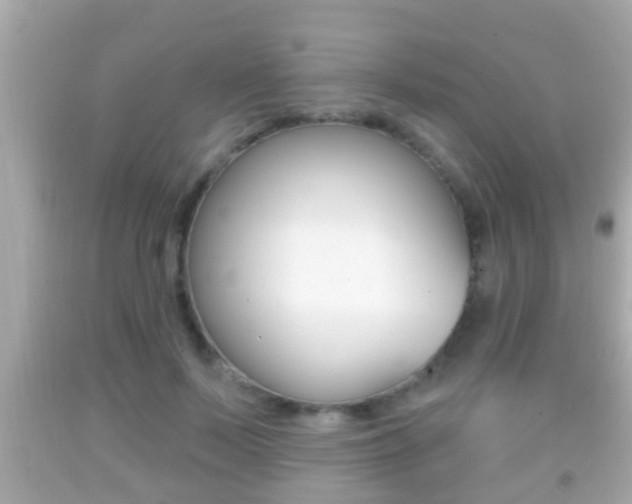 X0000092040695200709121005