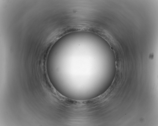 X0000092040696200709121005
