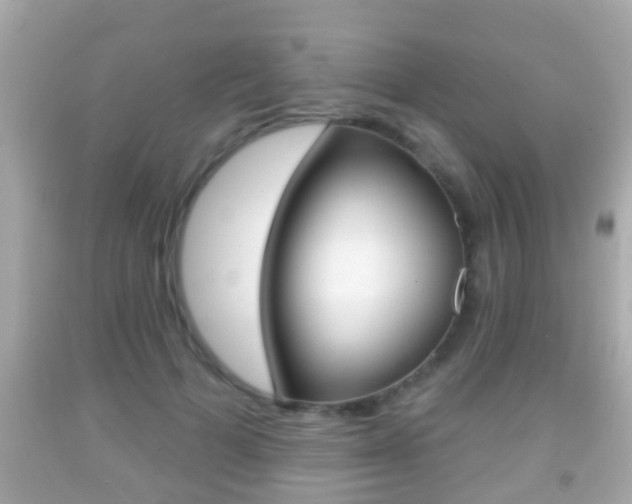 X0000092040697200709121005