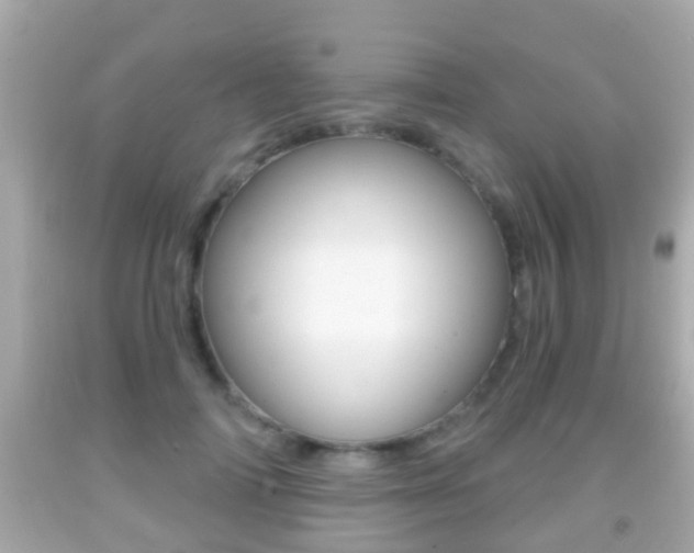 X0000092040698200709121005