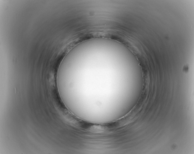 X0000092040699200709121005