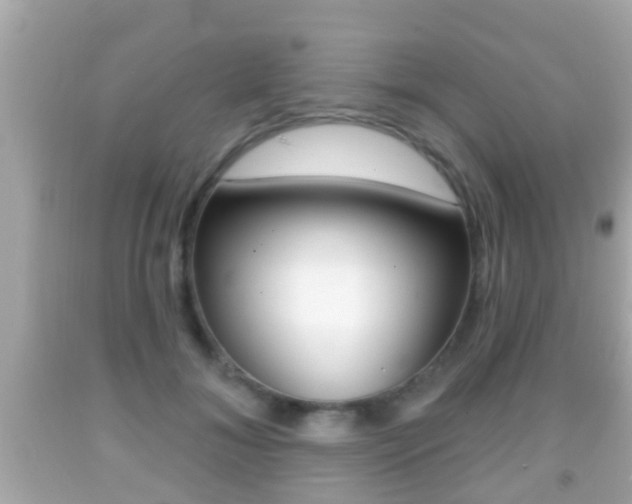 X0000092040700200709121005