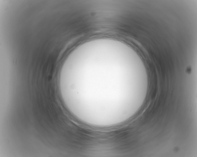 X0000092040701200709121005