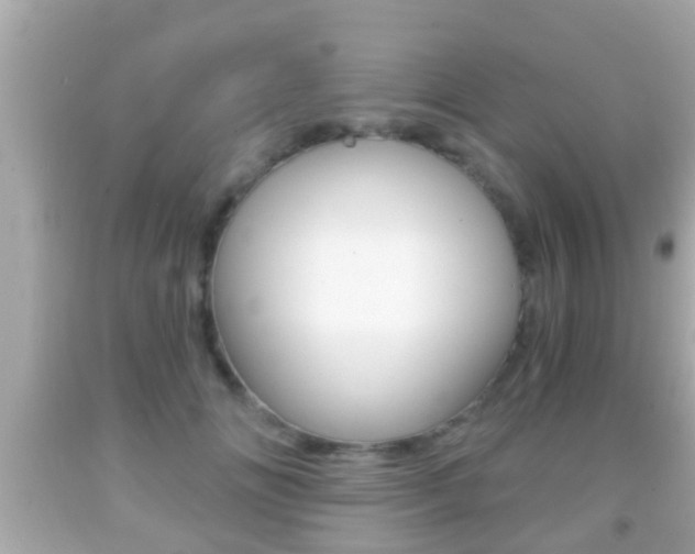 X0000092040702200709121005