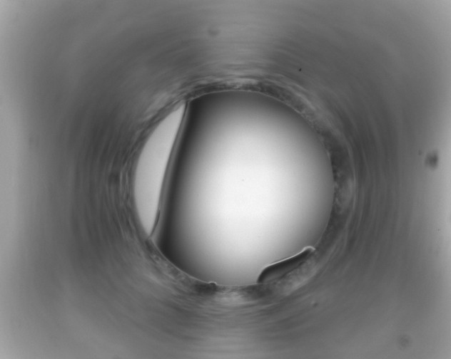 X0000092040704200709121005