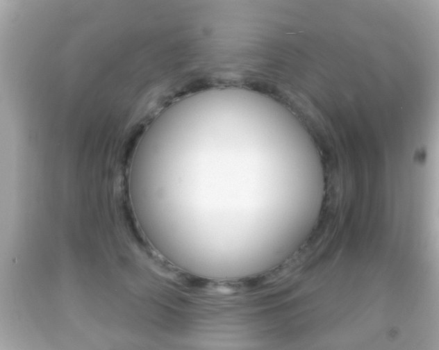 X0000092040706200709121005