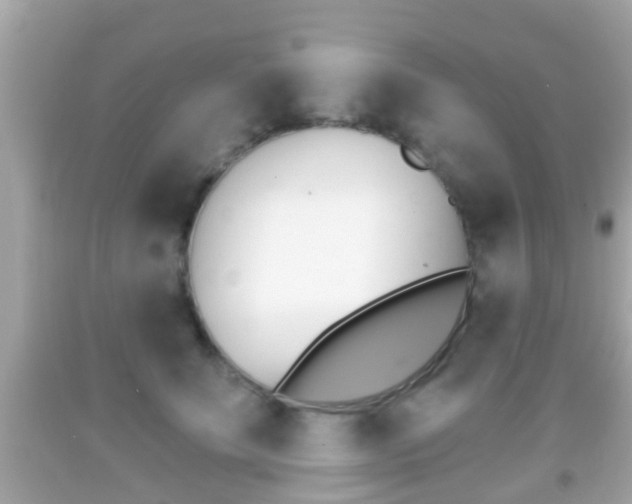 X0000092040707200709121005