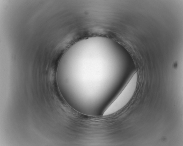 X0000092040708200709121005
