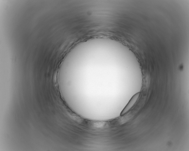 X0000092040709200709121005