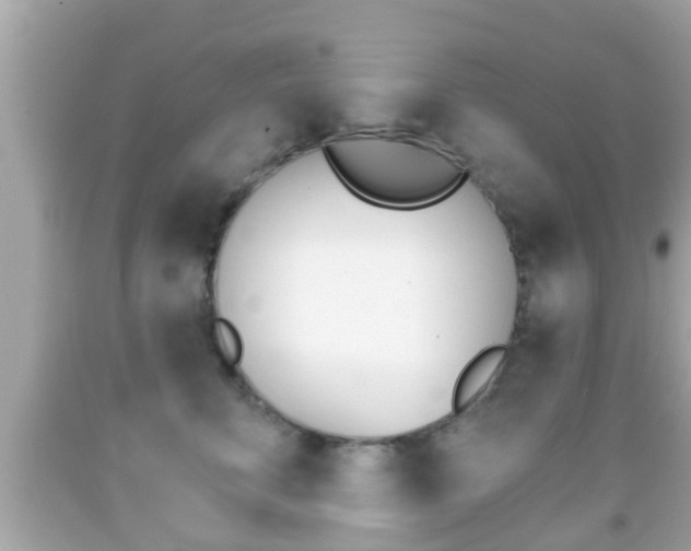 X0000092040711200709121005