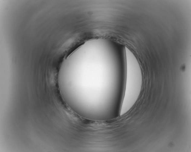 X0000092040712200709121005