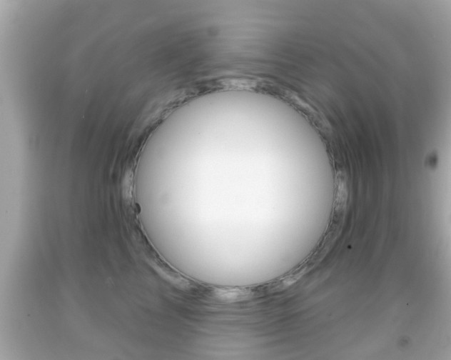 X0000092040713200709121005