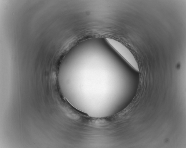 X0000092040716200709121005