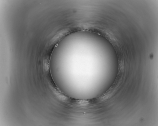 X0000092040719200709121005