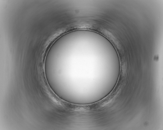 X0000092040721200709121004