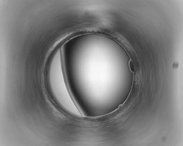 X0000092040722200709121004