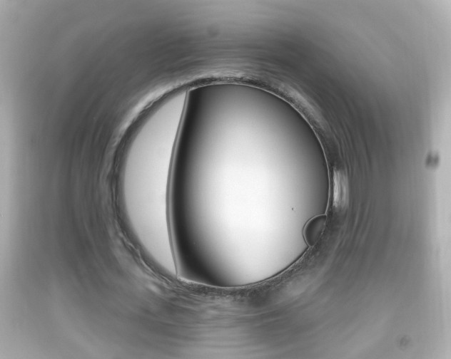 X0000092040723200709121004