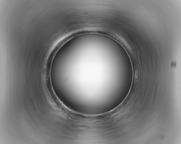 X0000092040724200709121004
