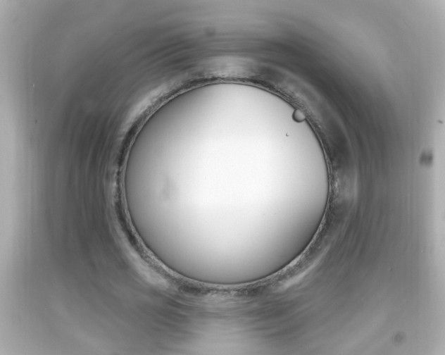 X0000092040725200709121004