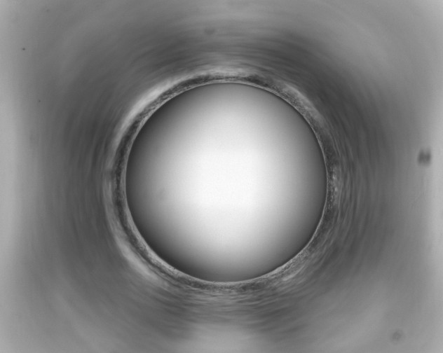X0000092040726200709121004