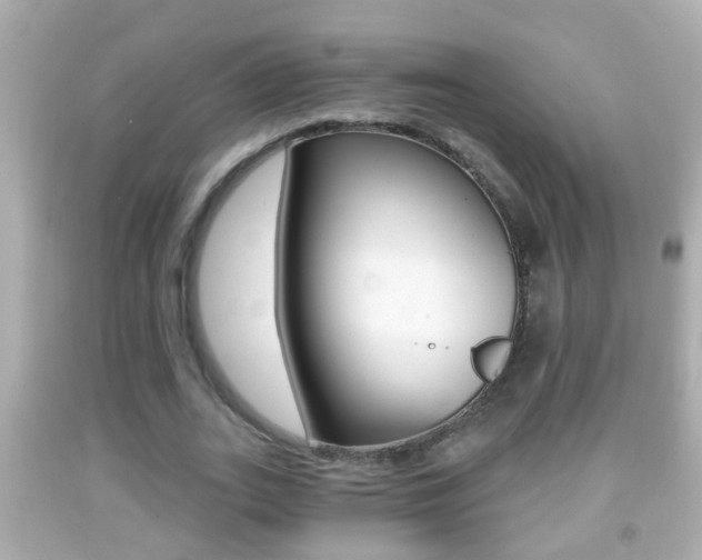 X0000092040727200709121004