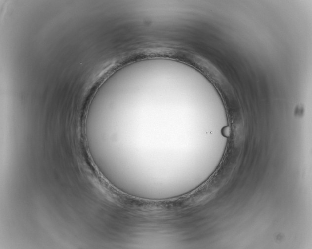 X0000092040729200709121004