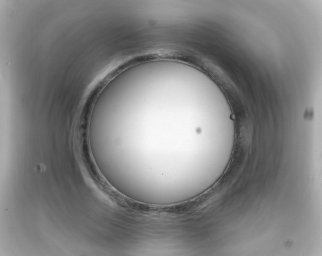 X0000092040730200709121005
