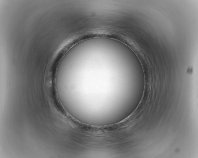 X0000092040731200709121005