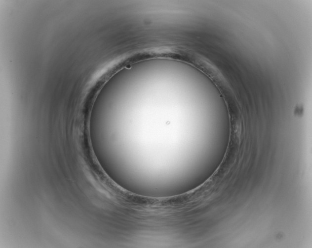 X0000092040732200709121005