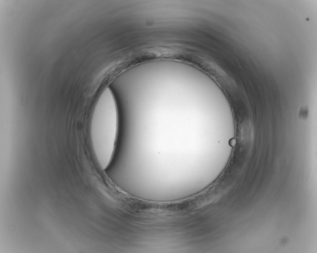 X0000092040733200709121005
