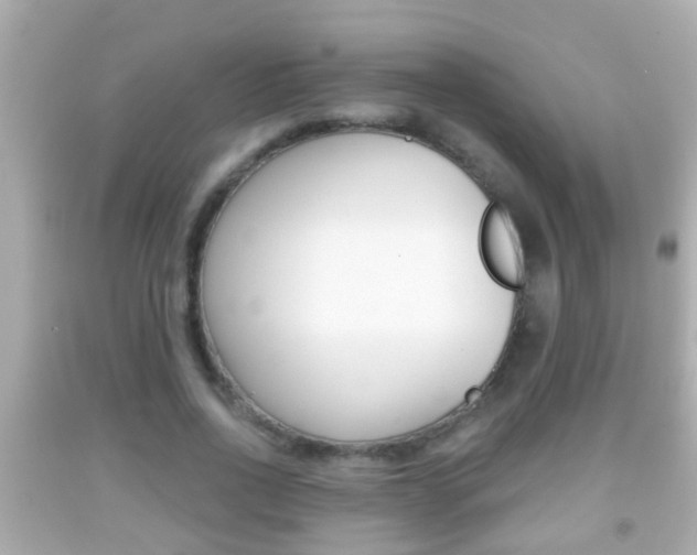 X0000092040734200709121005