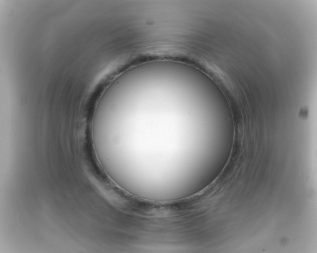X0000092040735200709121005