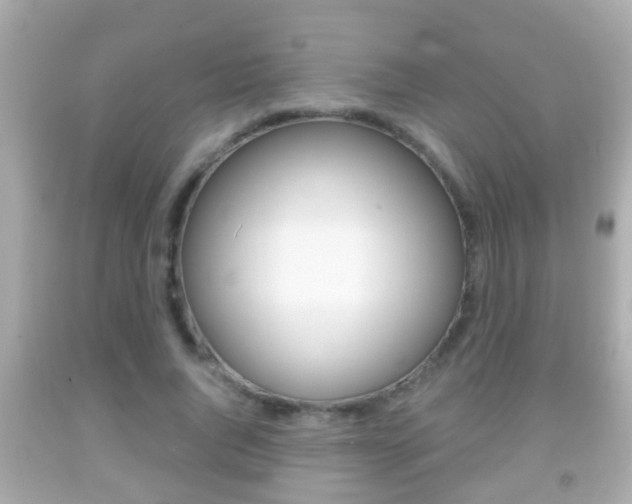 X0000092040736200709121005
